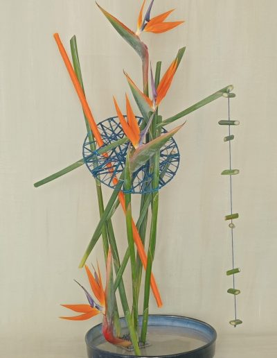 Jill Hoskin